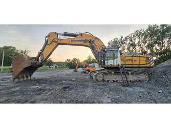 Escavatore cingolato LIEBHERR R976 HD: foto 2