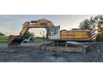 Escavatore cingolato LIEBHERR R976 HD: foto 3
