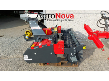 : immagine di intestazione