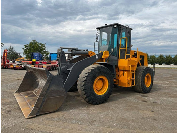 : immagine di intestazione