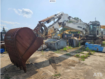 Escavatore cingolato LIEBHERR R 954