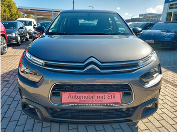 Berlina Citroën C4 Cactus Feel DAB Klima Sitzheizung PDC: foto 3