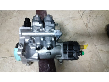 : immagine di intestazione