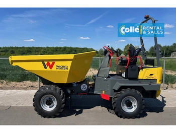 Dumper articolato nuovo WACKER NEUSON DW40 | NEW 2025: foto 4