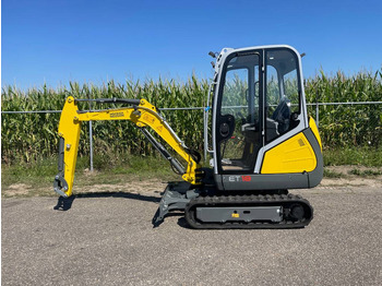 Miniescavatore WACKER