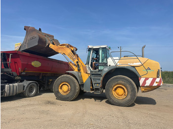 Pala gommata LIEBHERR 564 FRONT LOADER: foto 4