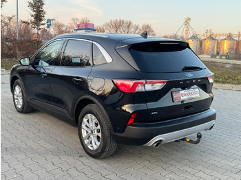 : immagine di intestazione