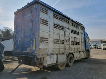 Autocarro trasporto bestiame SCANIA R580: foto 4