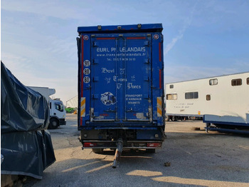 Autocarro trasporto bestiame SCANIA R580: foto 5