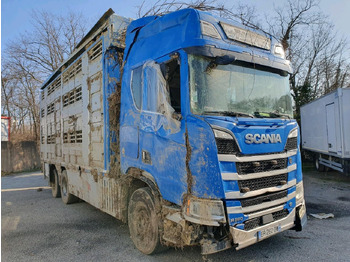 : immagine di intestazione