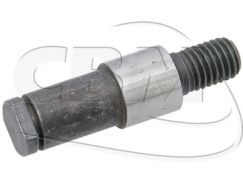 : immagine di intestazione