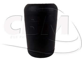 : immagine di intestazione