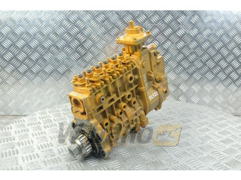 : immagine di intestazione