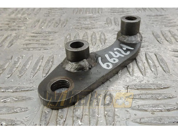 : immagine di intestazione