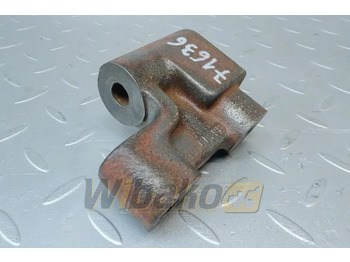 : immagine di intestazione