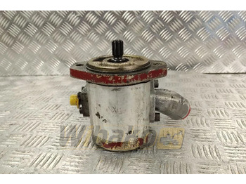 : immagine di intestazione