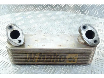 : immagine di intestazione