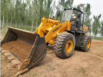 Leasing di LONKING 885 LONKING 885: foto 1