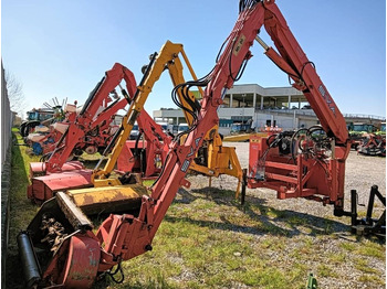 : immagine di intestazione