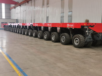 : immagine di intestazione