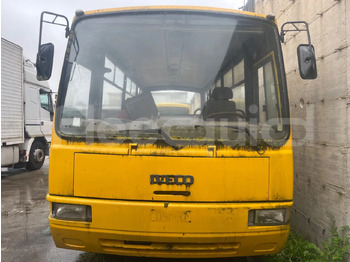Scuolabus IVECO