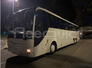 Pullman Man Lion's Coach: foto 4