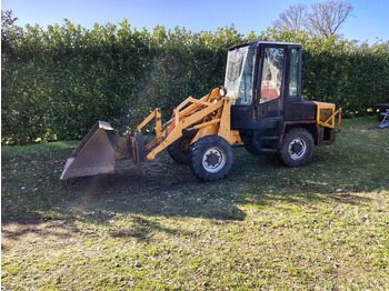 : immagine di intestazione