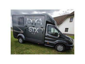 Leasing di STX Ford Transit by Stephex STX Ford Transit by Stephex: foto 3