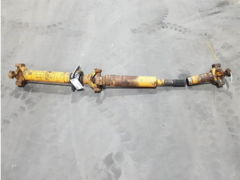 : immagine di intestazione