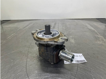 : immagine di intestazione