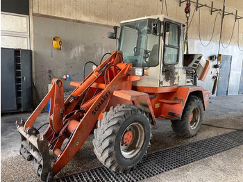 Pala gommata SCHAEFF