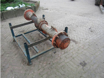 : immagine di intestazione