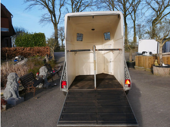 Trailer trasporto cavalli nuovo Böckmann Comfort Aluboden: foto 2