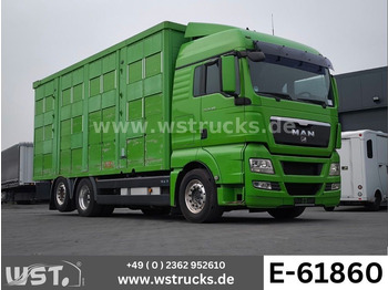 Van trasporto cavalli MAN TGX XL