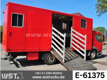 : immagine di intestazione