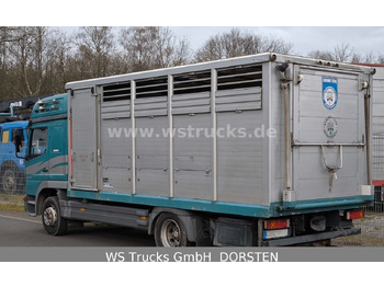 Van trasporto cavalli Mercedes-Benz Atego 1223  1 Stock Hohe Gitter  Viehtransporter: foto 3