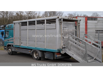 Van trasporto cavalli Mercedes-Benz Atego 1223  1 Stock Hohe Gitter  Viehtransporter: foto 5