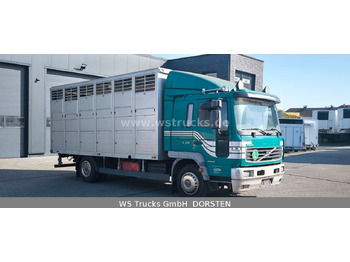 Autocarro trasporto bestiame Volvo FL 220 Einstock Großvieh: foto 2
