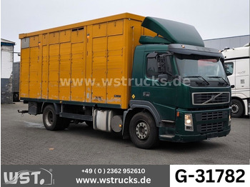 Van trasporto cavalli VOLVO FM