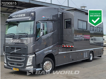Van trasporto cavalli VOLVO FH 420