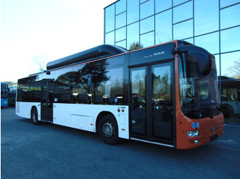 Autobus urbano MAN Lion's City