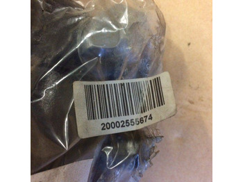 : immagine di intestazione