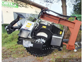 : immagine di intestazione