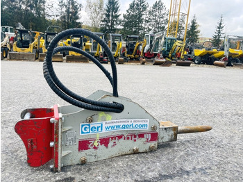 : immagine di intestazione