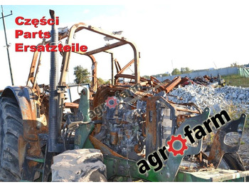 : immagine di intestazione