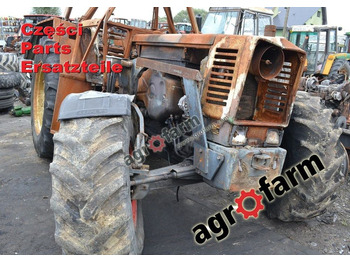: immagine di intestazione