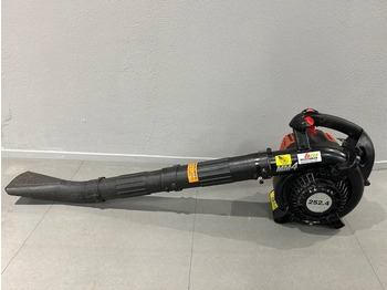 : immagine di intestazione