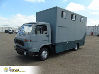 Van trasporto cavalli MAN