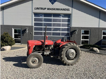 Trattore MASSEY FERGUSON