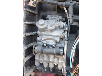 : immagine di intestazione